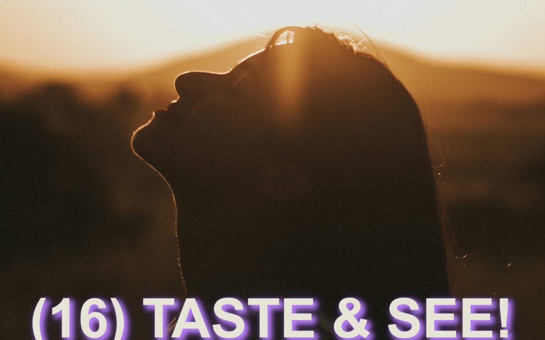 (16) TASTE & SEE: Anticipation and Happiness